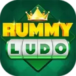 Rummy Ludo App