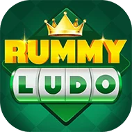 Rummy Ludo App